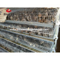 Cages grillagées Cage Cage cages batterie cages